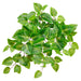 20" UV-Resistant Outdoor Artificial Hanging Coleus Plant -Green/Cream (pack of 12) - PBC023-GR/CR