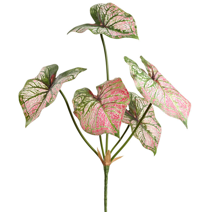 21" Caladium Leaf Silk Plant -Pink/Green (Pack of 12) - PBC076-GR/PK