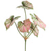 21" Caladium Leaf Silk Plant -Pink/Green (Pack of 12) - PBC076-GR/PK
