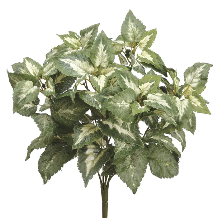 15" Silk Coleus Plant -Green/Variegated (pack of 6) - PBC106-GR/VG
