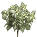 15" Silk Coleus Plant -Green/Variegated (pack of 6) - PBC106-GR/VG
