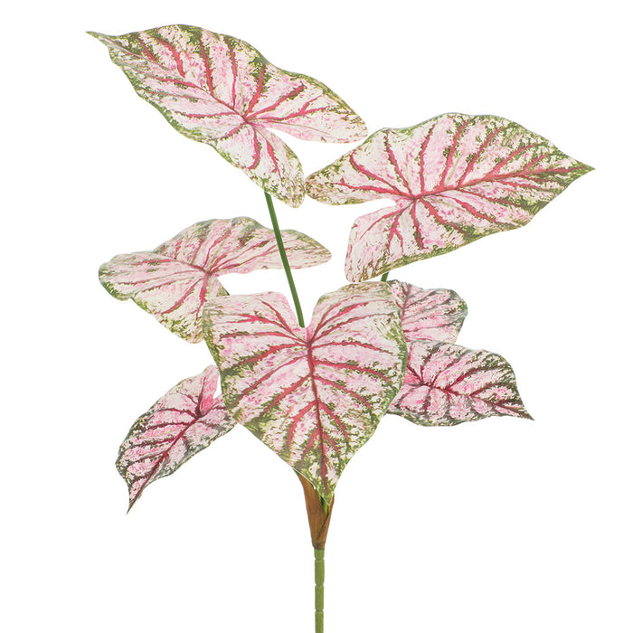28.5" Caladium Leaf Silk Plant -Pink/Green (Pack of 12) - PBC120-PK/GR
