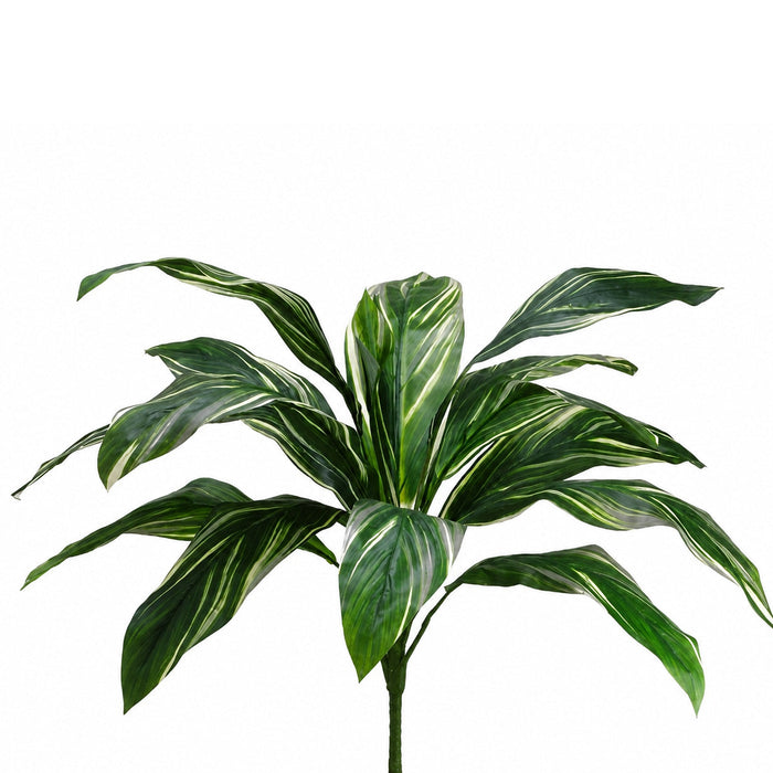 26" Cordyline Silk Plant -Green/White (Pack of 12) - PBC128-GR/WH