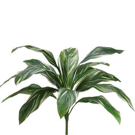 26" Cordyline Silk Plant -Green/White (pack of 12) - PBC128-GR/WH