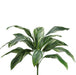 26" Cordyline Silk Plant -Green/White (pack of 12) - PBC128-GR/WH