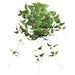 30" Clematis Leaf Silk Plant -Green (Pack of 24) - PBC196-GR