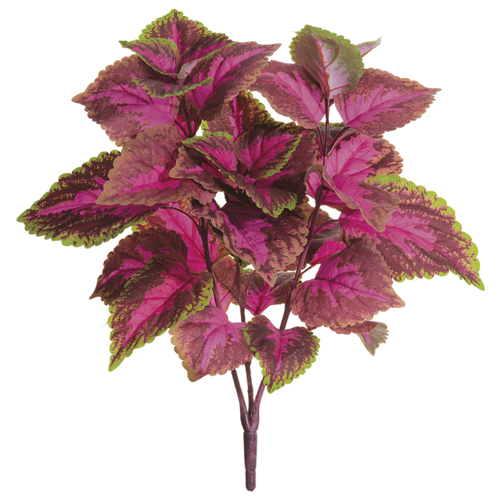 19" Large Leaf Silk Coleus Plant Fuchsia/Green