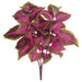 19" Large Leaf Silk Coleus Plant -Fuchsia/Green (pack of 12) - PBC199-FU/GR