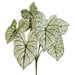23" Caladium Silk Plant -2 Tone Green (pack of 12) - PBC204-GR/TT
