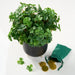 11" Plastic Clover Artificial Plant -Green (Pack of 12) - PBC265-GR