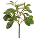 13.5" Silk Cotinus Leaf Plant -Green (pack of 12) - PBC378-GR