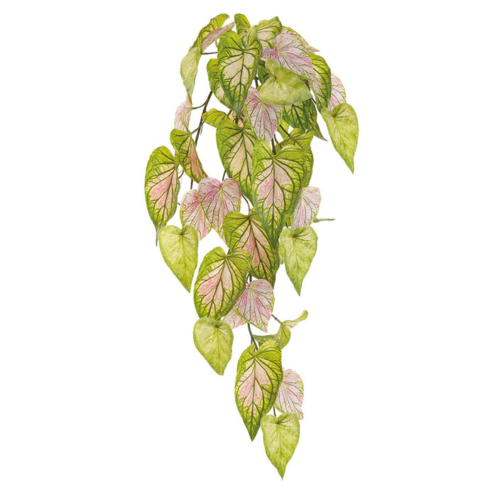 pink leaf hanging plant 33.5" Hanging Caladium Leaf Silk Plant -Green/Pink