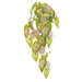 33.5" Hanging Caladium Leaf Silk Plant -Green/Pink (Pack of 6) - PBC508-GR/PK