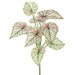 12.5" Caladium Leaf Silk Plant -Green/Pink (Pack of 24) - PBC509-GR/PK