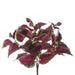16" UV-Resistant Outdoor Artificial Caleus Plant -Burgundy/Green (pack of 12) - PBC531-BU/GR