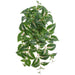 25" Outdoor UV-Resistant Artificial Coleus Hanging Plant -Green/Cream (Pack of 6) - PBC533-GR/CR