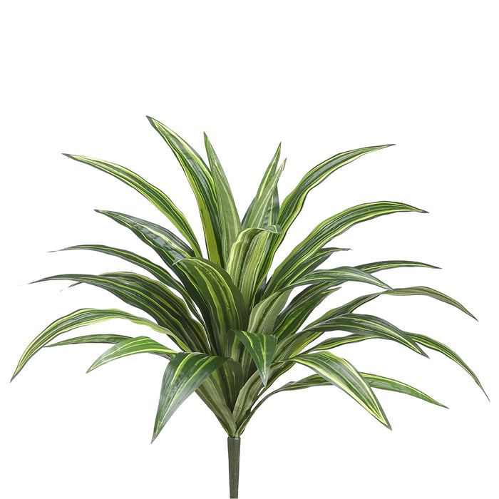 21" Silk Dracaena Leaf Plant -Green/Gray (Pack of 12) - PBD337-GR/GY