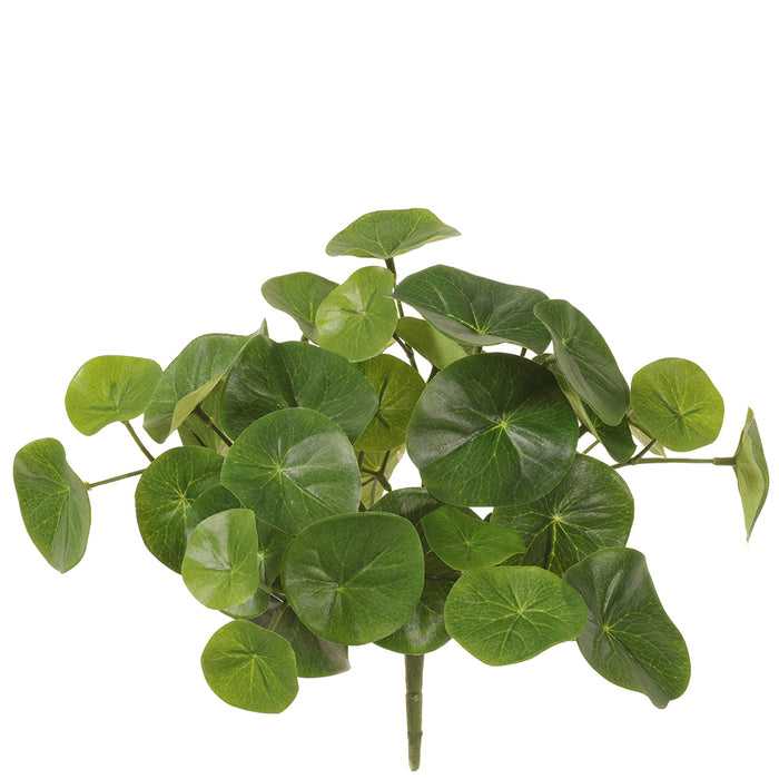 9" Stephania Erecta Leaf Silk Plant -Green (pack of 12) - PBD748-GR