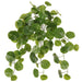 20" Stephania Erecta Leaf Silk Plant -Green (Pack of 6) - PBD749-GR