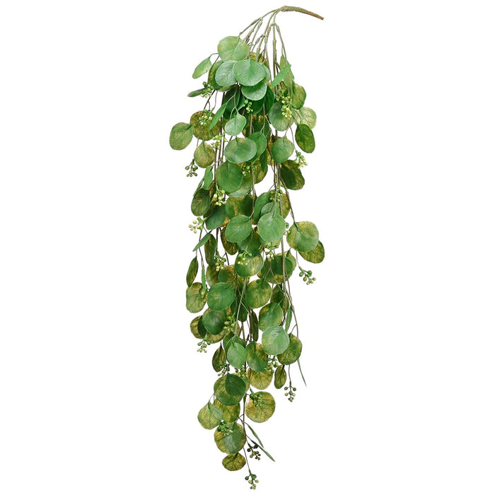 hanging eucalyptus plant real 28" Hanging Silk Round Leaf Eucalyptus Plant -Green — Silks Are Forever