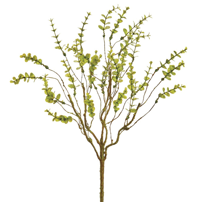 19" Mini Artificial Eucalyptus Plant -Green (pack of 12) - PBE190-GR