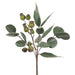 19" Artificial Eucalyptus Leaf Stem Bundle With Pods -Green (pack of 12) - PBE192-GR