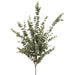 57" Eucalyptus Silk Plant -Green/Gray - PBE273-GR/GY
