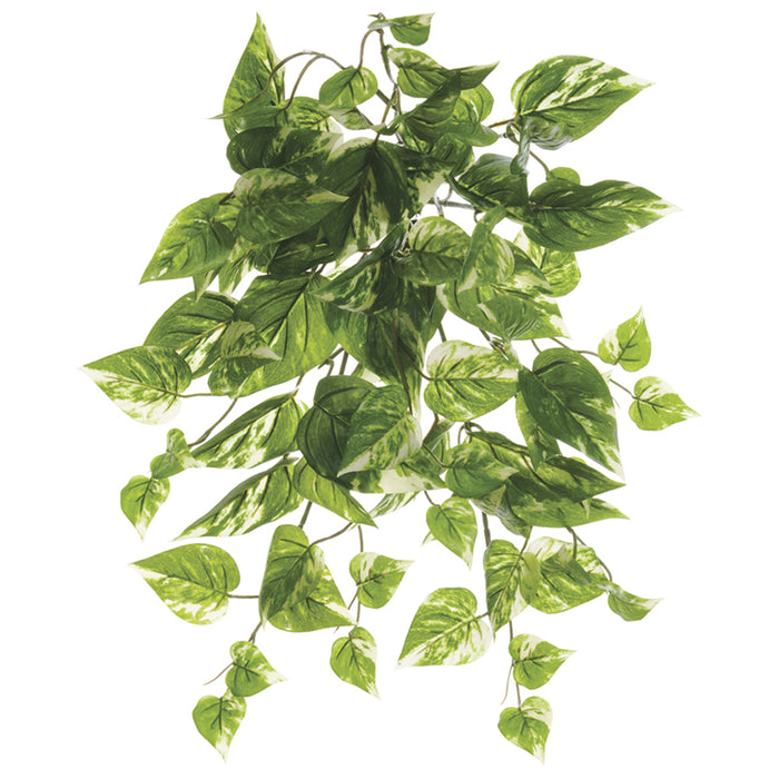 19" UV-Resistant Outdoor Artificial Pothos Hanging Plant -Green/Cream (pack of 12) - PBE316-GR/CR