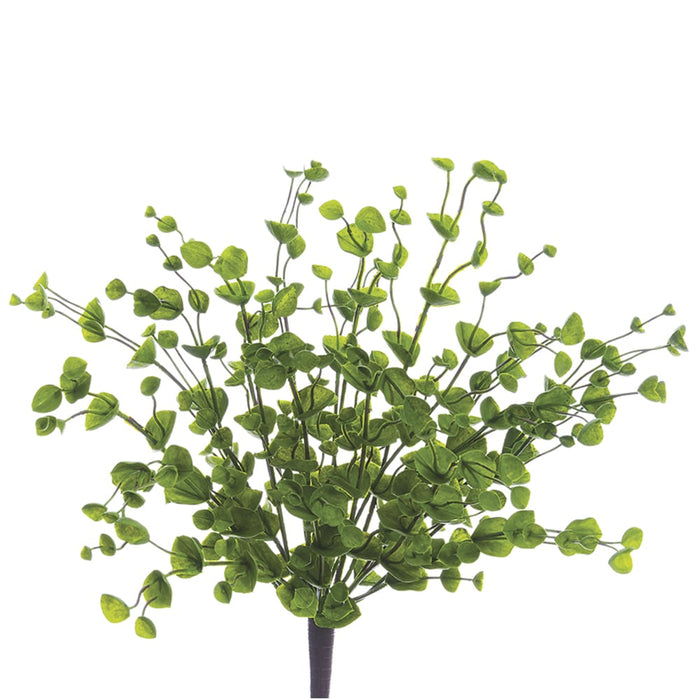15" Plastic Bupleurum Artificial Plant -Green (pack of 12) - PBE325-GR