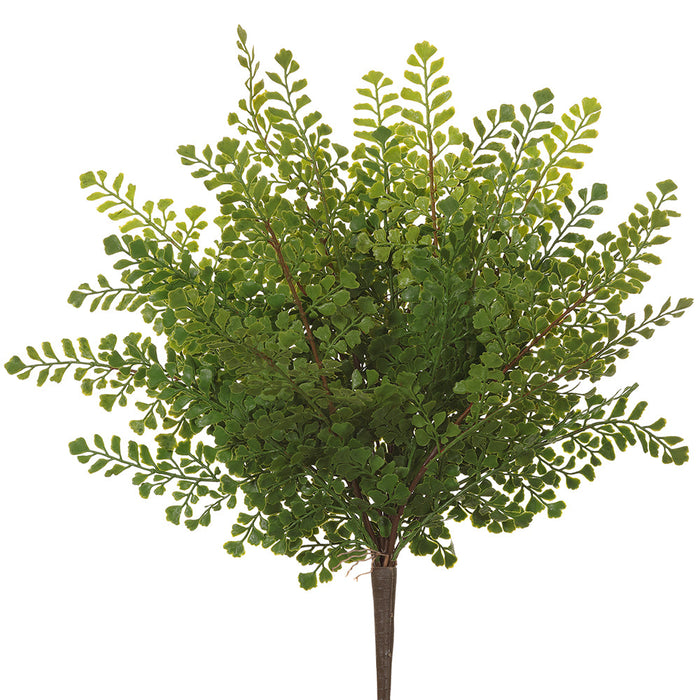 18" PE Soft-Touch Maidenhair Fern Artificial Plant -Green (Pack of 12) - PBF004-GR