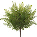 18" Real Touch Maidenhair Fern Silk Plant -Green (pack of 12) - PBF004-GR