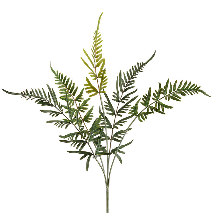 24" PE Soft-Touch Blue Star Fern Leaf Artificial Plant -Green (Pack of 24) - PBF042-GR