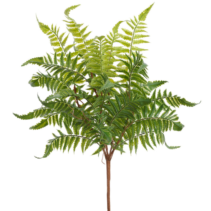 22" Forest Fern Leaf Silk Plant -Green (Pack of 12) - PBF078-GR