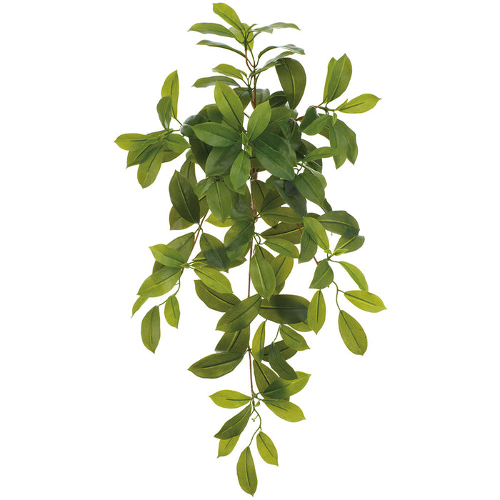 ficus hanging plant 24" Hanging Ficus Leaf Silk Plant -Green (Pack of 12)