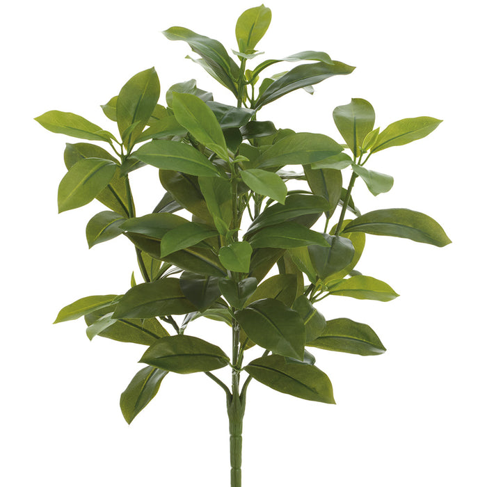 16" Ficus Leaf Silk Plant -Green (Pack of 12) - PBF170-GR