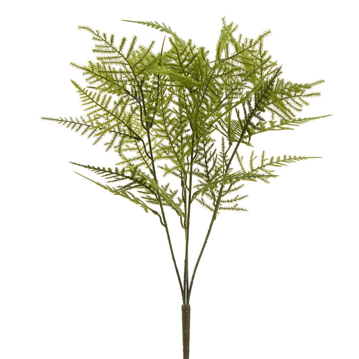 19" Asparagus Fern Leaf Silk Plant -Green (Pack of 24) - PBF189-GR