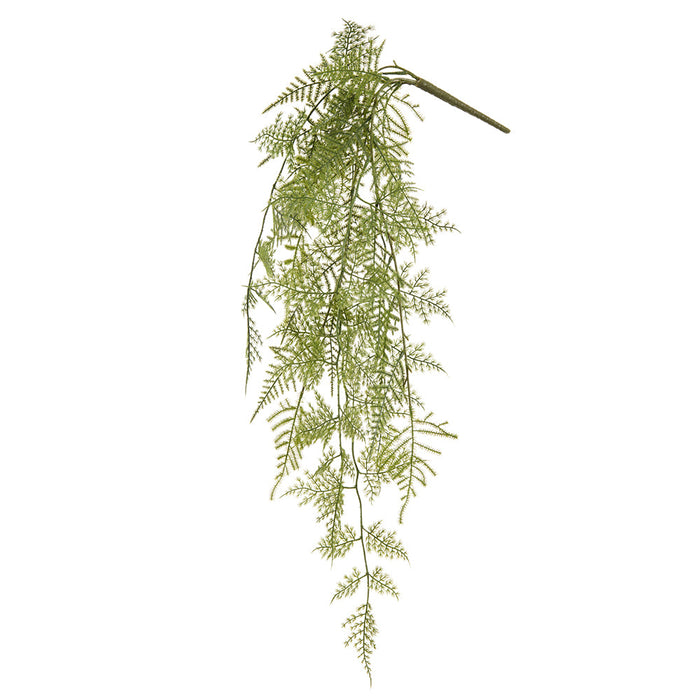 asparagus fern hanging plant 29" Hanging Asparagus Fern Leaf Silk Plant -Green (Pack of 12)
