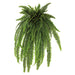 52" Boston Fern Leaf Silk Plant -Green (Pack of 2) - PBF253-GR