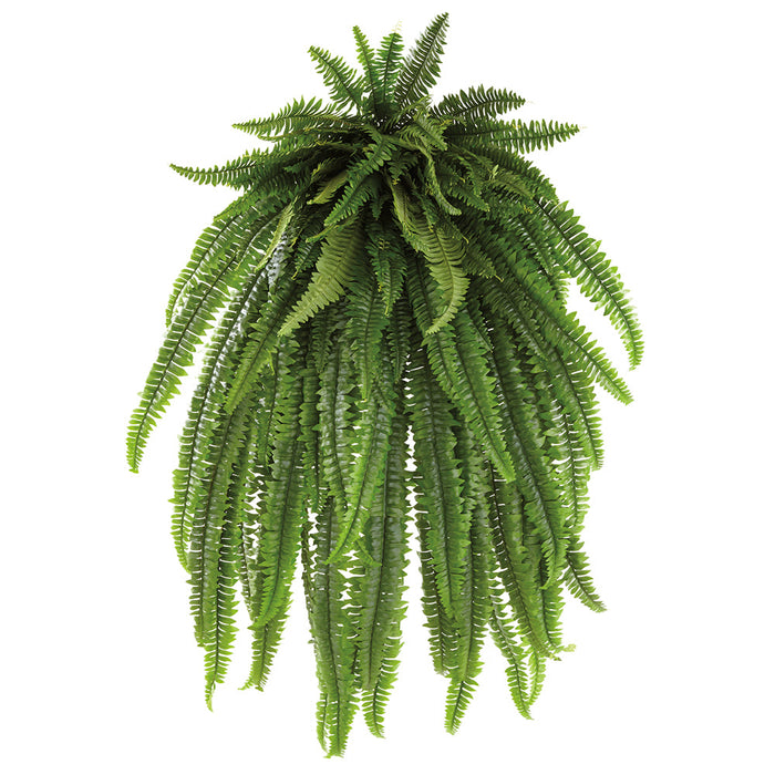 hanging fern plants 60" Boston Fern Leaf Silk Plant -Green (Pack of 2)