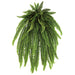 60" Boston Fern Leaf Silk Plant -Green (pack of 2) - PBF254-GR