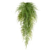28" Outdoor UV-Resistant Artificial Hanging Asparagus Fern Plant -Green (Pack of 12) - PBF286-GR