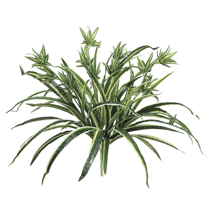 21" Spider Silk Plant -50 Leaves -Green/White (Pack of 12) - PBF295-GR/WH