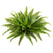 26" UV-Resistant Outdoor Artificial Boston Fern Plant -Green (pack of 4) - PBF435-GR