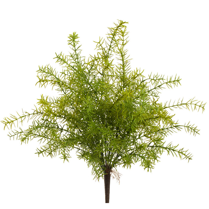 20" Outdoor UV-Resistant Artificial Sprengeri Fern Plant -Green (Pack of 6) - PBF474-GR
