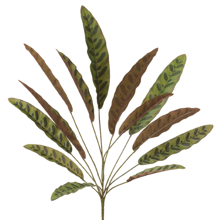 29" Silk Feather Leaf Plant -2 Tone Green (Pack of 12) - PBF520-GR/TT