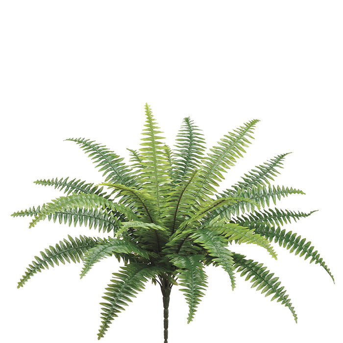 26" Silk Boston Fern Plant -25 Leaves -Green (pack of 6) - PBF526-GR