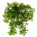 26" Maidenhair Fern Silk Plant -Light Green (Pack of 6) - PBF534-GR/LT