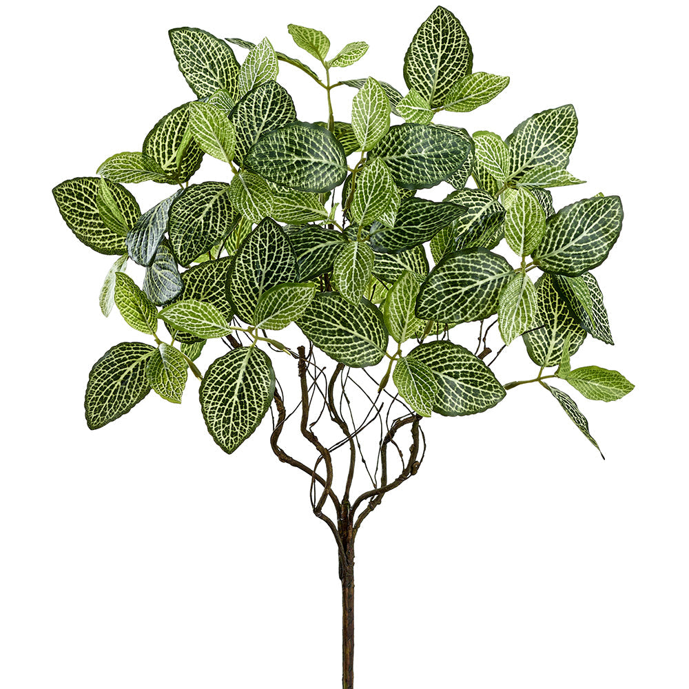 hanging fittonia plant 18" Fittonia Leaf Silk Plant -Green