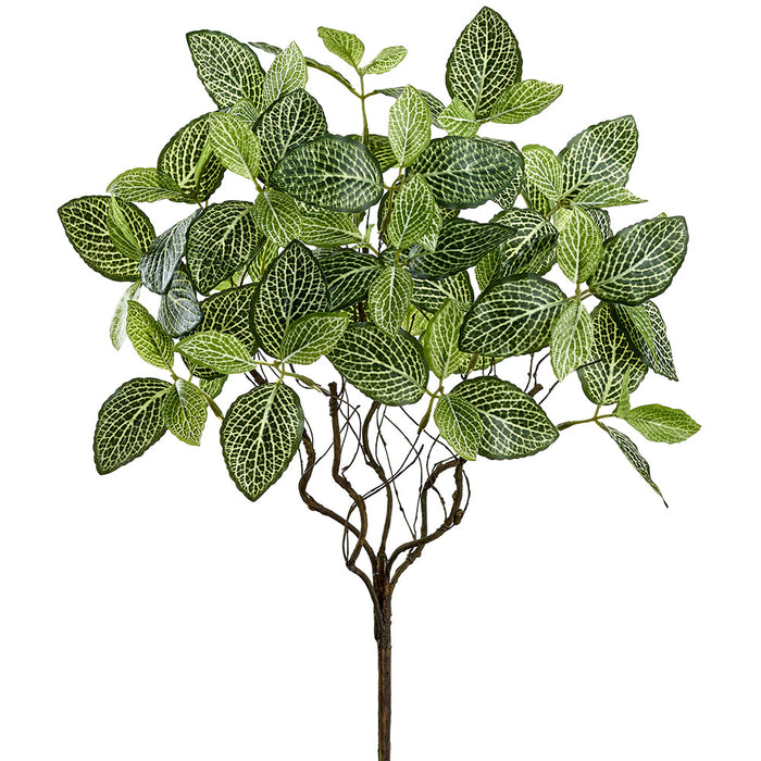 18" Fittonia Leaf Silk Plant -Green (Pack of 12) - PBF564-GR