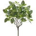 18" Fittonia Leaf Silk Plant -Green (Pack of 12) - PBF564-GR